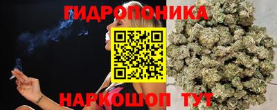 винт Лесосибирск