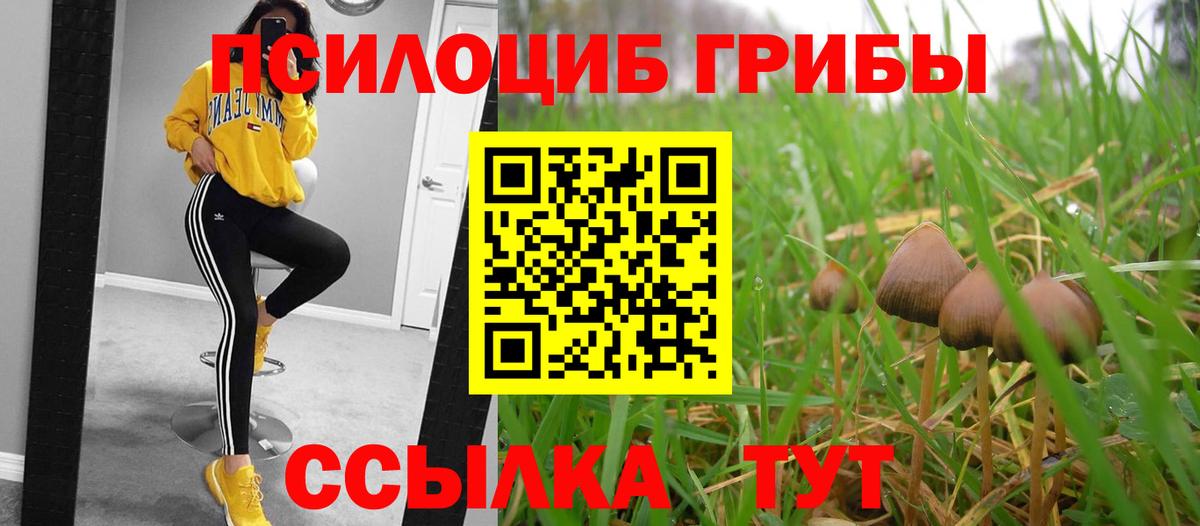 Псилоцибиновые грибы GOLDEN TEACHER Горячий Ключ