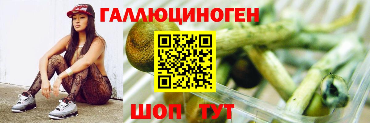Псилоцибиновые грибы мухоморы  Вход с VPN  где купить   Горячий Ключ 